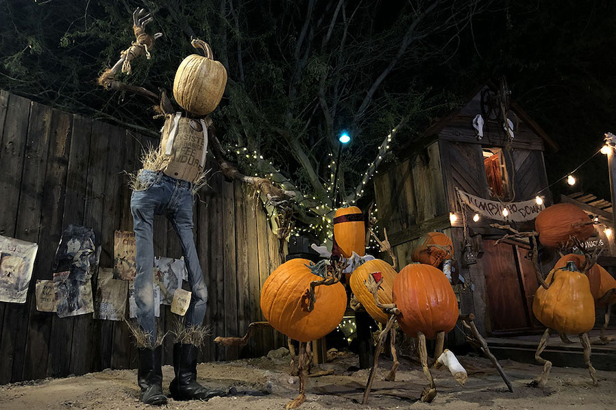 Ray Villafane, pumpkin carving, Strange Encounters Exhibition, Mesa Arts Center