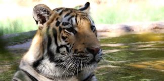 Wildlife World Zoo, Halloween, Spooktacular