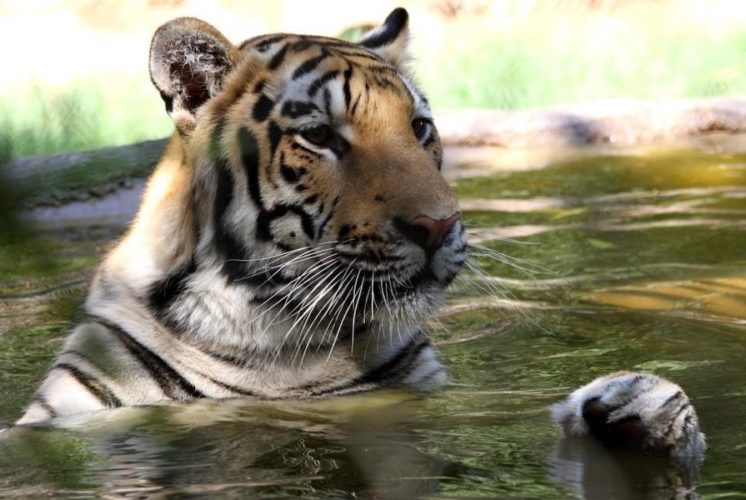 Wildlife World Zoo, Halloween, Spooktacular