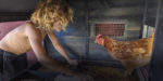 Nov2020-teaser-RaisingChickens