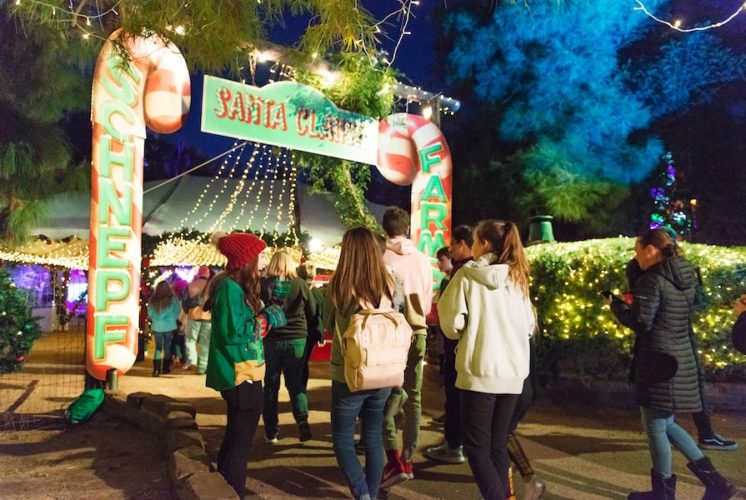 Christmas at Schnepf Farms