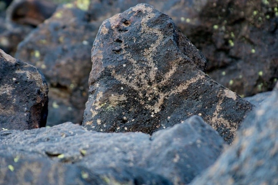 Deer Valley Petroglyph Preserve