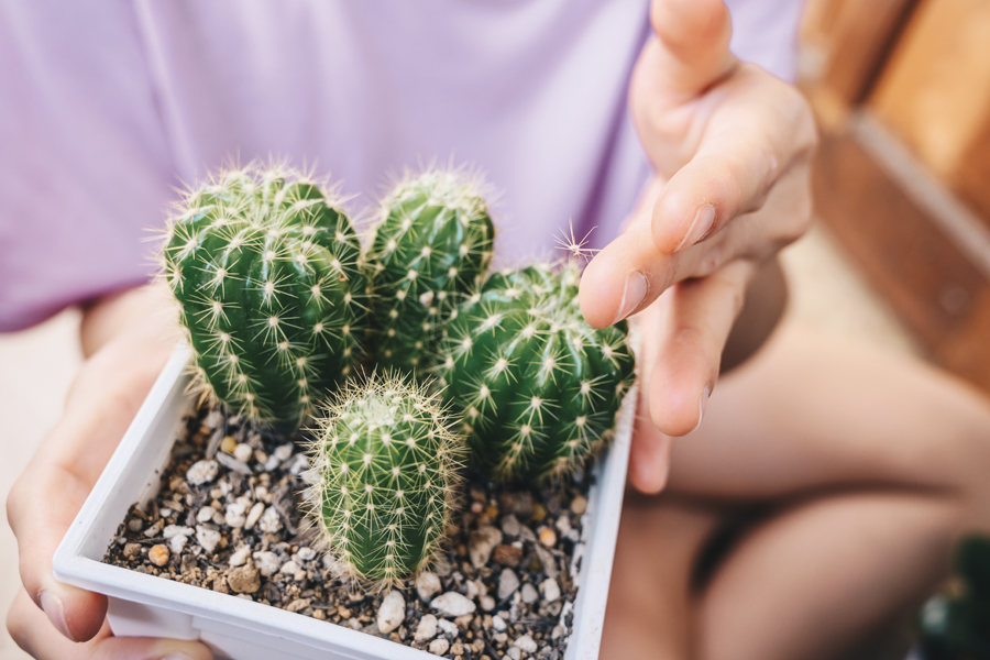 If your child is bitten, stung or injured, here’s what parents need to know about getting treatment for summer accidents.