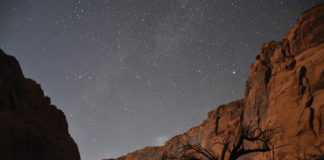 Help prevent wildfires with safe campfire alternatives