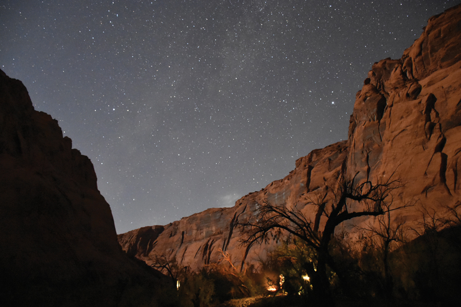 Help prevent wildfires with safe campfire alternatives