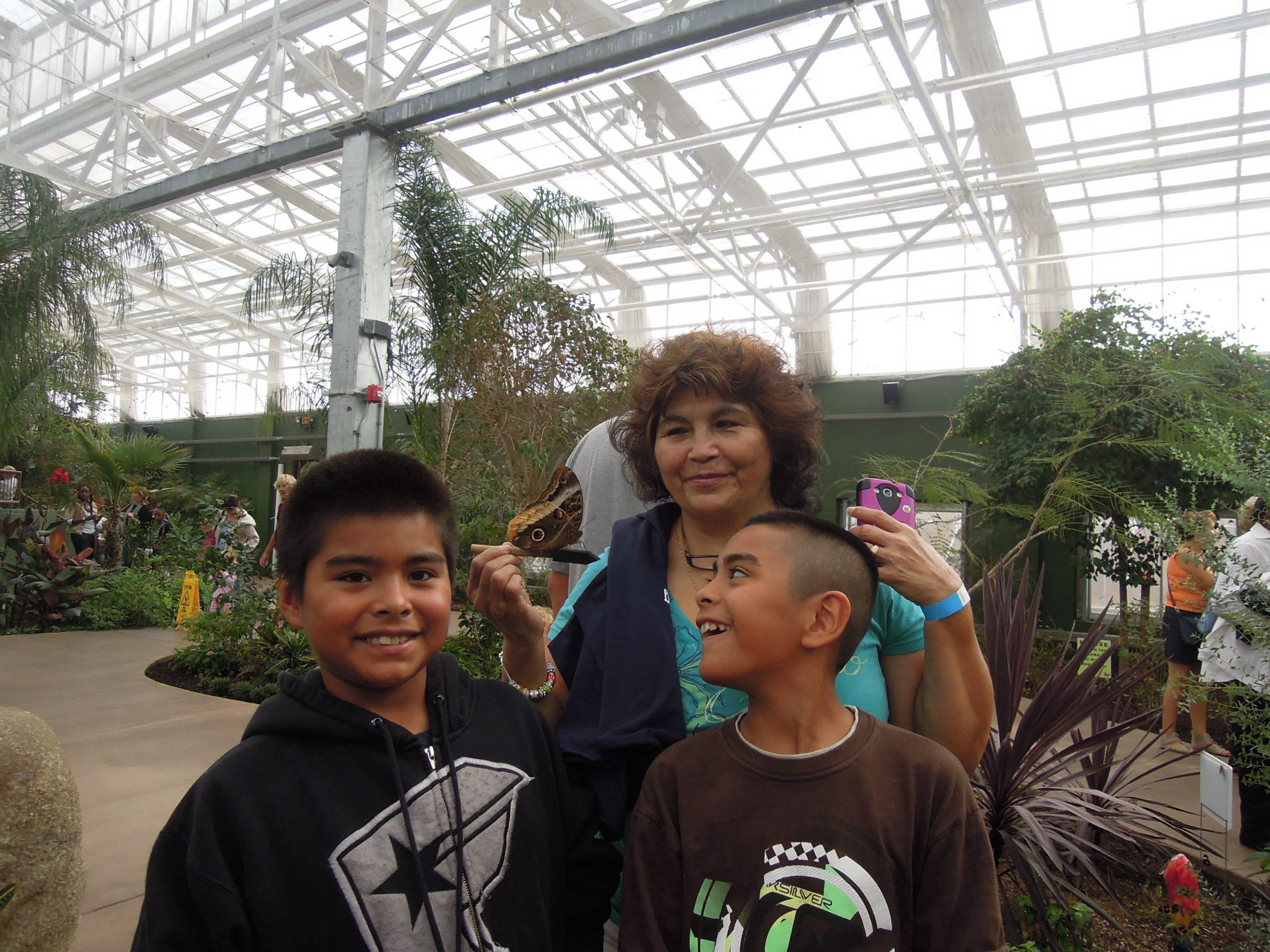 grandparents raising grandchildren, grandmother and grandsons, Butterfly Wonderland