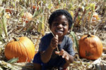 PumpkinPatches-2021