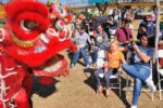 Mask Alive – Chinese dragon dancers