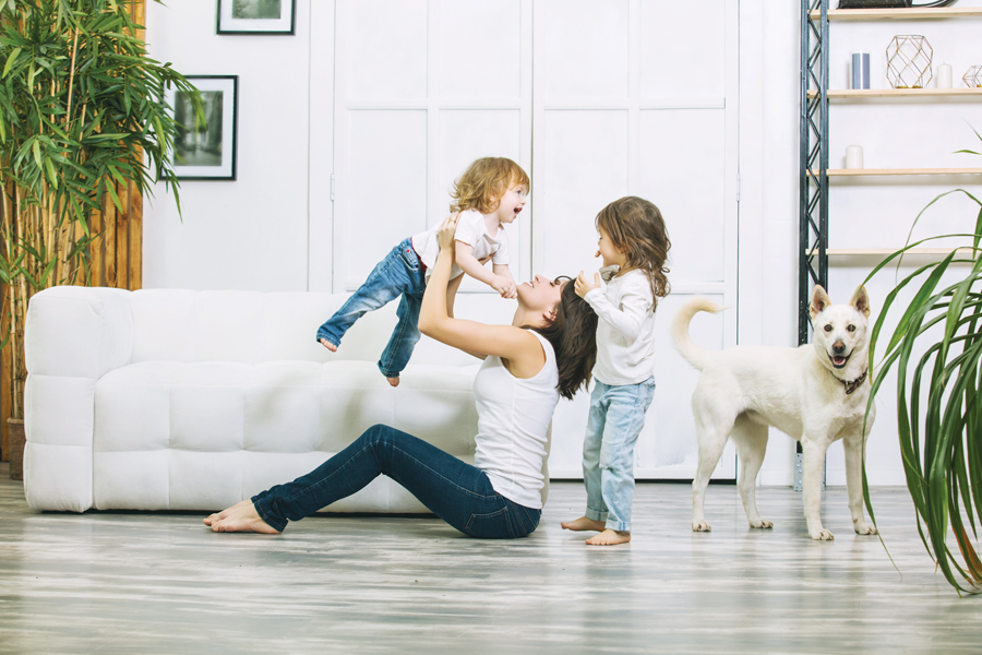 PuriFi, PuriFication system