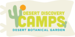 Discovery Camp Logo_Final (1)