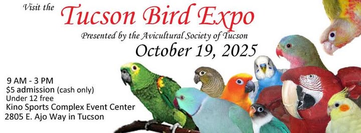 Aviculture Society of Tucson Bird Show | Raising Arizona Kids Magazine
