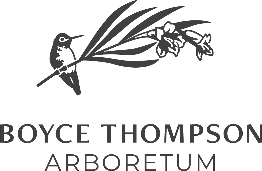 Boyce Thompson Arboretum